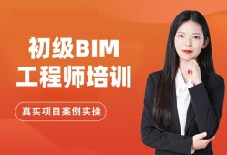 淺談bim技術的發展前景論文bim工程師前景演講稿