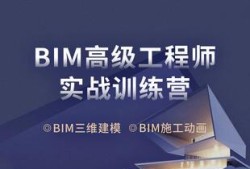 bim工程師專(zhuān)業(yè)技能培訓(xùn)教材bim工程師高效直通班