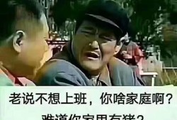 考過了一級建造師和一級造價(jià)師，應(yīng)該怎么選擇從業(yè)方向？