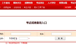 包含造價(jià)工程師注冊查詢系統(tǒng)的詞條