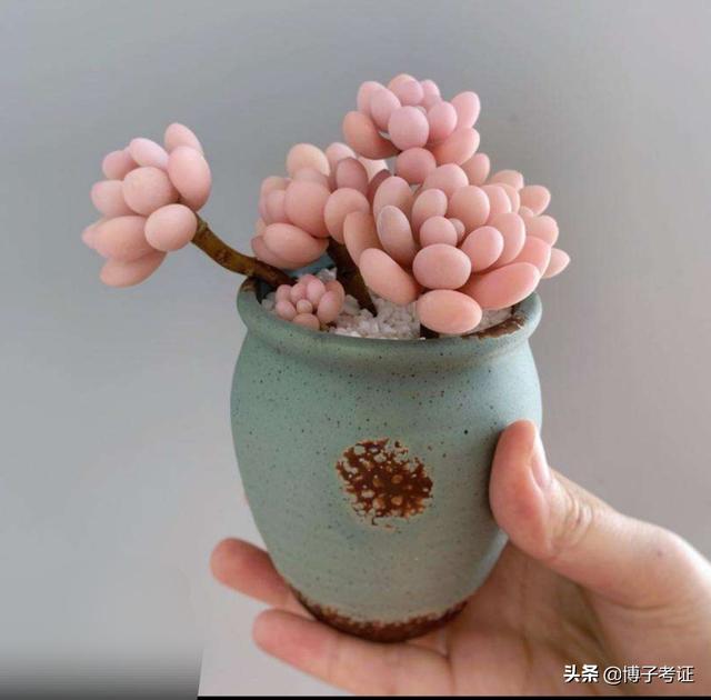 二建出考試時(shí)間了，大家開(kāi)始學(xué)習(xí)了嗎？  第5張