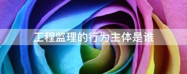 工程監(jiān)理的行為主體是誰(shuí)  第1張