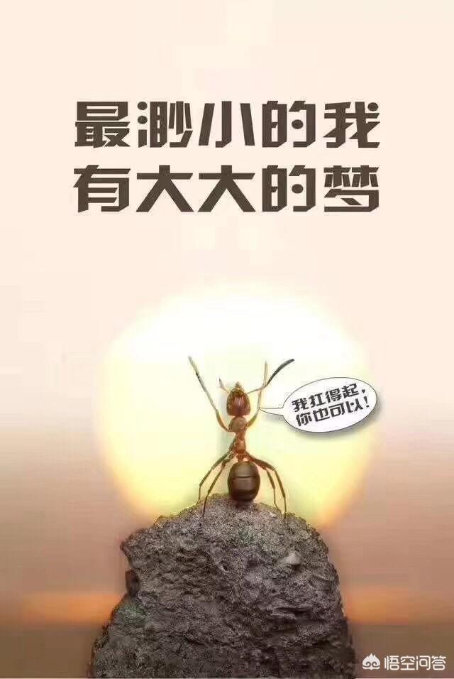 二級建造師就業前景如何？該報考嗎？  第1張